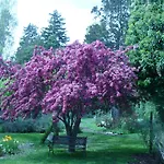 El Lugar De La Flor
