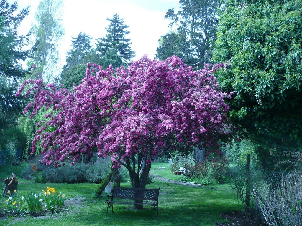 El Lugar De La Flor * San Carlos de Bariloche